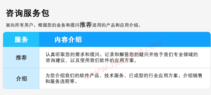 软件咨询服务